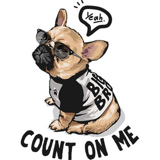 [Hình ủi, ép nhiệt] Hình chó Pug và Bull P5