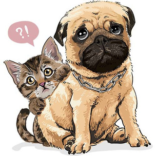 [Hình ủi, ép nhiệt] Hình chó Pug và Bull P5