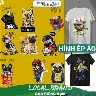 Hình chó pug và bull p5