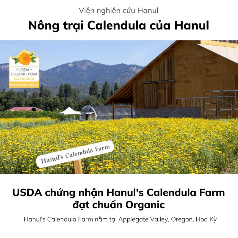 Combo 5 gói khăn giấy ướt rico baby nội địa Hàn cao cấp lành tính an toàn cho bé