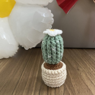 Chậu Len Mini Xinh Xắn Bằng Len