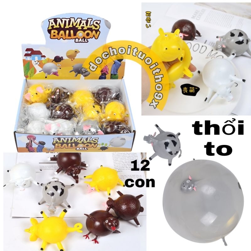 Hộp 12 con thú dẻo thổi phồng to Animals Balloon