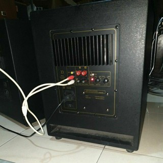 loa trầm điện bass 30