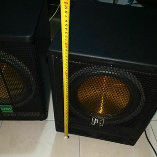 loa trầm điện bass 30