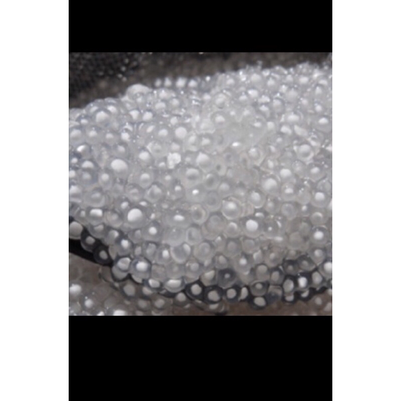 Bột báng nấu chè 500g