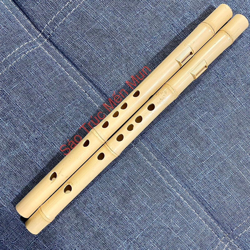 Sáo Mèo Nữ Trúc