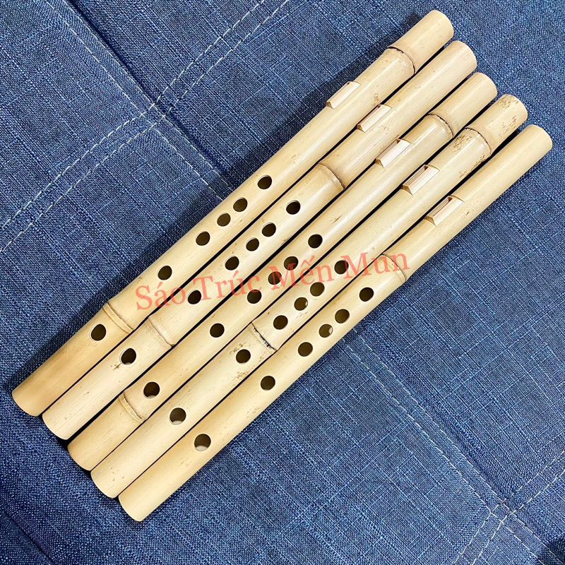 Sáo Mèo Nữ Trúc