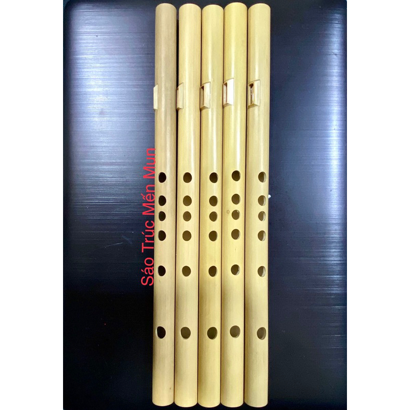 Sáo Mèo Nữ Nứa