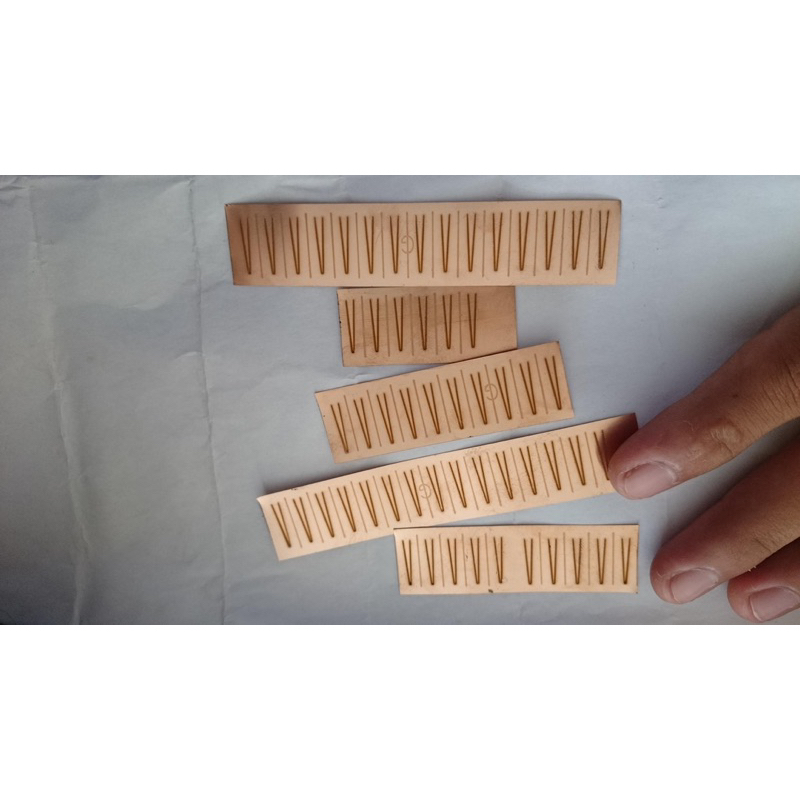 Lưỡi Lam Sáo Mèo