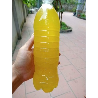 MẬT ONG BẠC HÀ NÚI ĐÁ HÀ GIANG