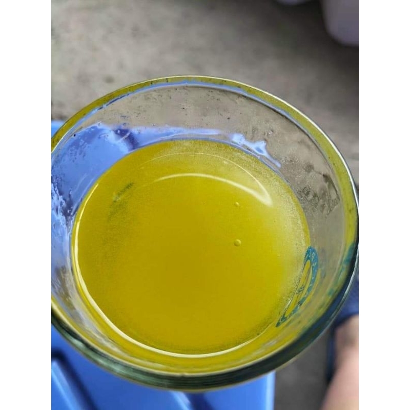 Mật ong bạc hà núi đá hà giang 1L