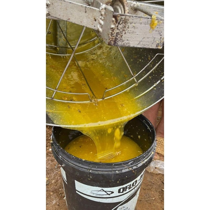 Mật ong bạc hà núi đá hà giang 1L