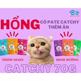 Pate 5Plus Catchy cho Mèo gói 70g