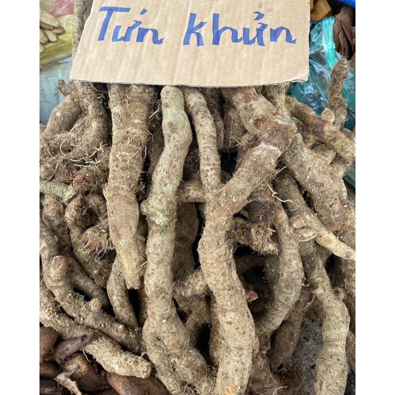 Củ Tứn Khửn Ngâm Tửu - đặc sản tây bắc-đặc sản 27 -đặc sản vùng cao-gia truyền dân tộc