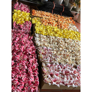 hoa giả,hoa ly to 3b 2 nụ
