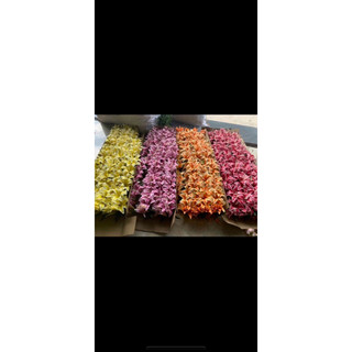 hoa giả,hoa ly to 3b 2 nụ