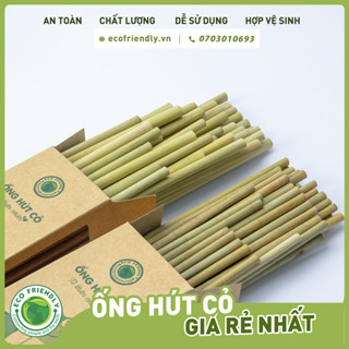 Hộp 50 ống hút cỏ bàng khô dài 20 cm size cafe