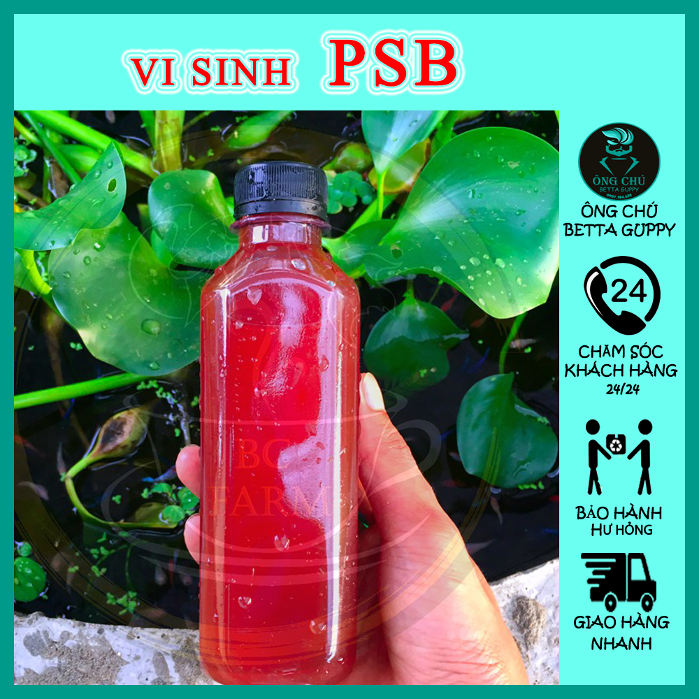 Vi sinh quang hợp Psb | Làm trong và sạch nước xử lý chất thải hồ cá cảnh thủy sinh