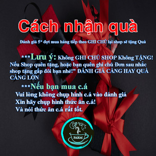 Vi sinh Psb xử lý nước hồ cá