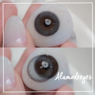 Lens xám mỏng