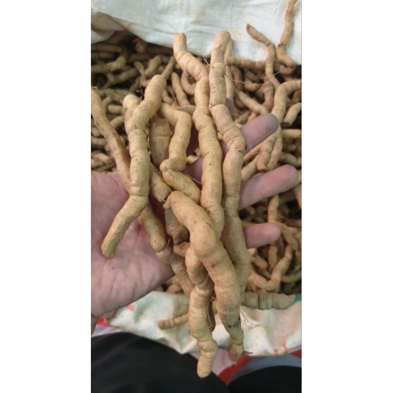 01 Kg Ba Kích Tím loại 1 Ba Chẽ Đã làm sạch, tách bỏ lõi