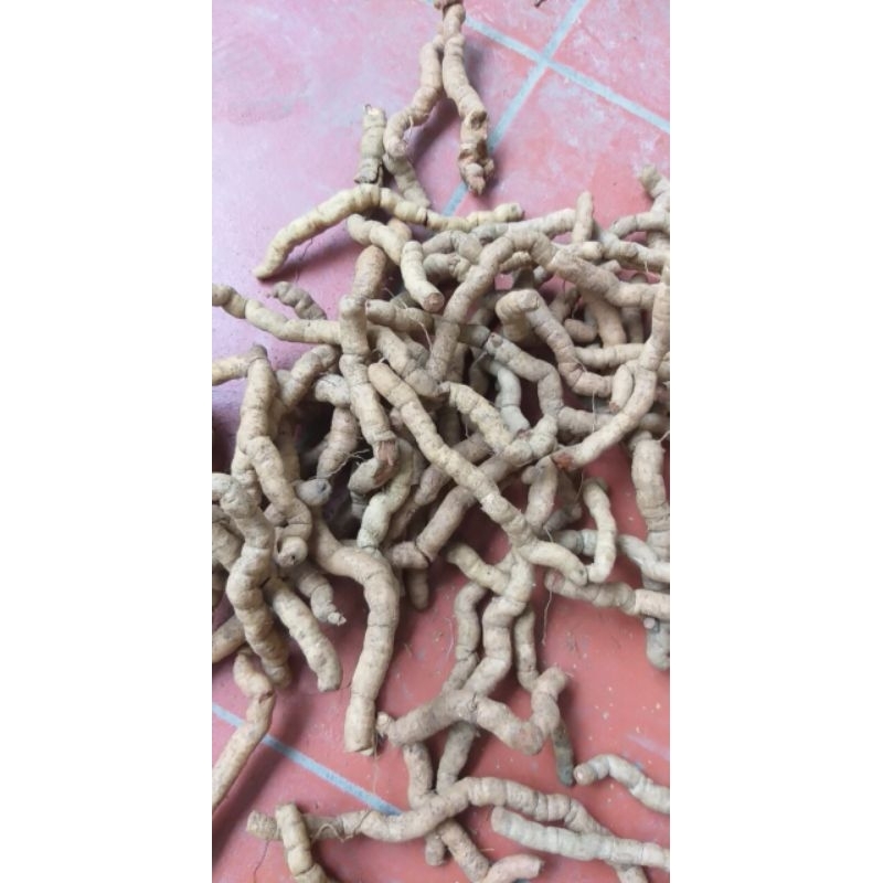 01 Kg Ba Kích Tím loại 1 Ba Chẽ Đã làm sạch, tách bỏ lõi