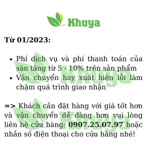 Phân bón BLX Bloom Plus 10-60-10 565g Siêu ra hoa