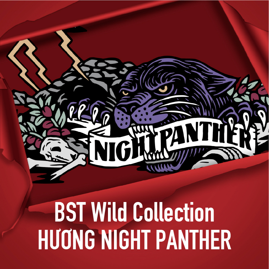 Lăn khử mùi Old Spice Stick Deodorant Night Panther 85gr - Chính Hãng USA