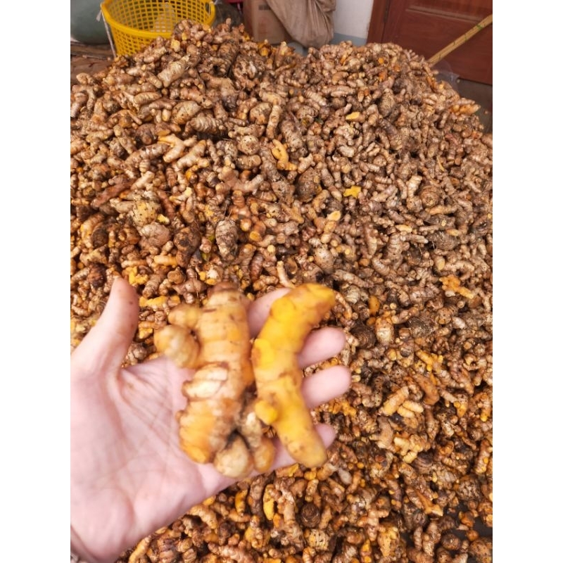 Tinh Bột Nghệ Vàng Lai Châu tự Làm..chuẩn 100%