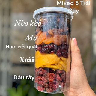 Trái Cây Sấy Dẻo Thập Cẩm LÊ MINH FOOD  [gồm Nho Khô, Dâu Tây Sấy, Mơ Sấy, Xoài Sấy, Nam Việt Quất]