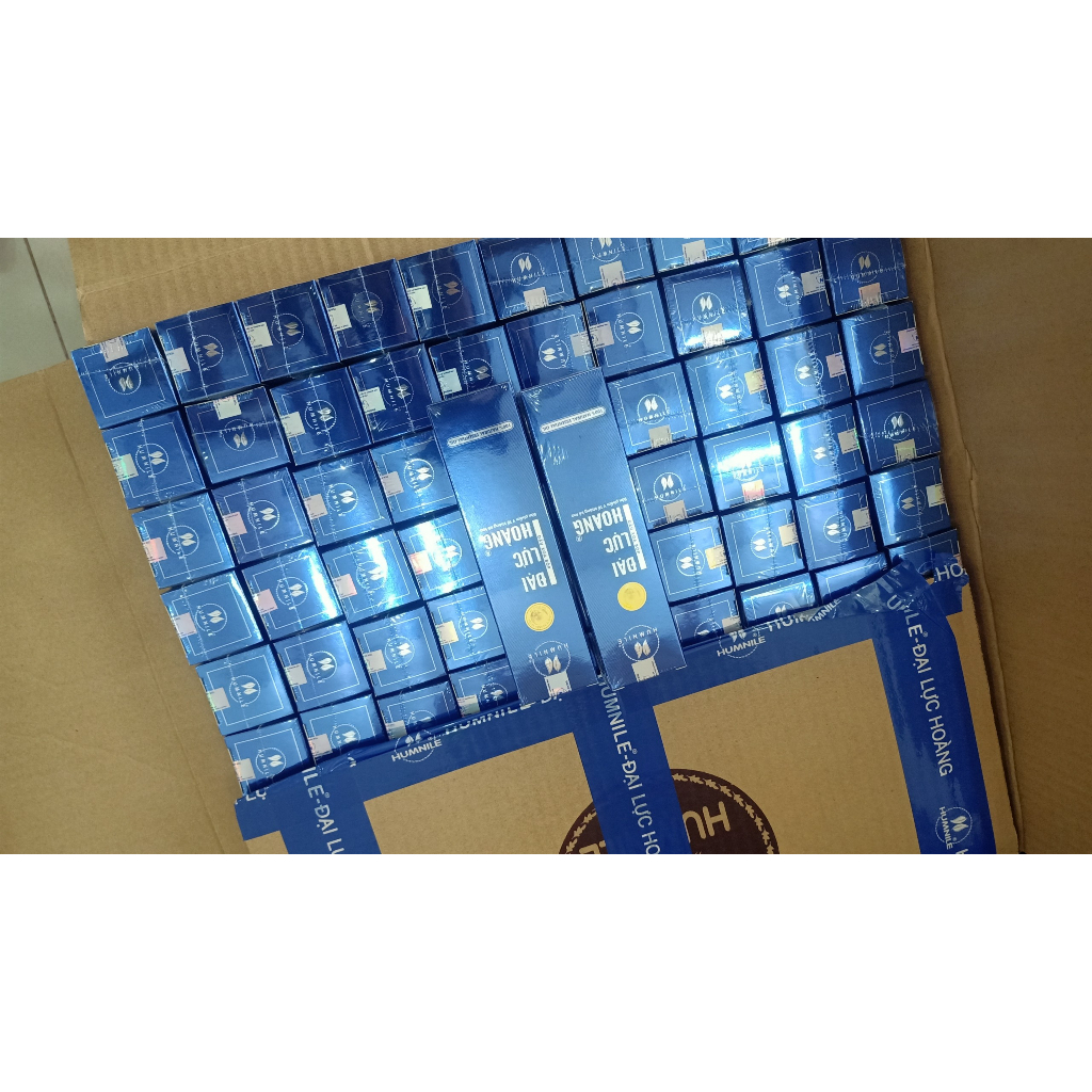 Dầu xoa bóp Đại Lực Hoàng hỗ trợ nhức xương khớp 150ml