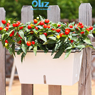 Chậu cây treo ban công Oliz SC201. Chậu trồng cây tự tưới có bao gồm giá treo