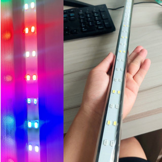 Đèn bể cá ĐÈN CHÌM BỂ CÁ dành cho hồ cá cảnh