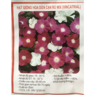 Hạt giống Hoa dừa cạn ☘️