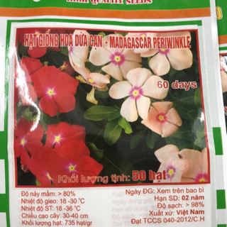 Hạt giống Hoa dừa cạn ☘️