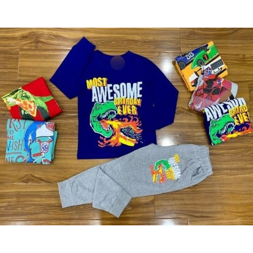 Bộ dài tay cotton Pla đại cho bé trai - HAANH VNXK