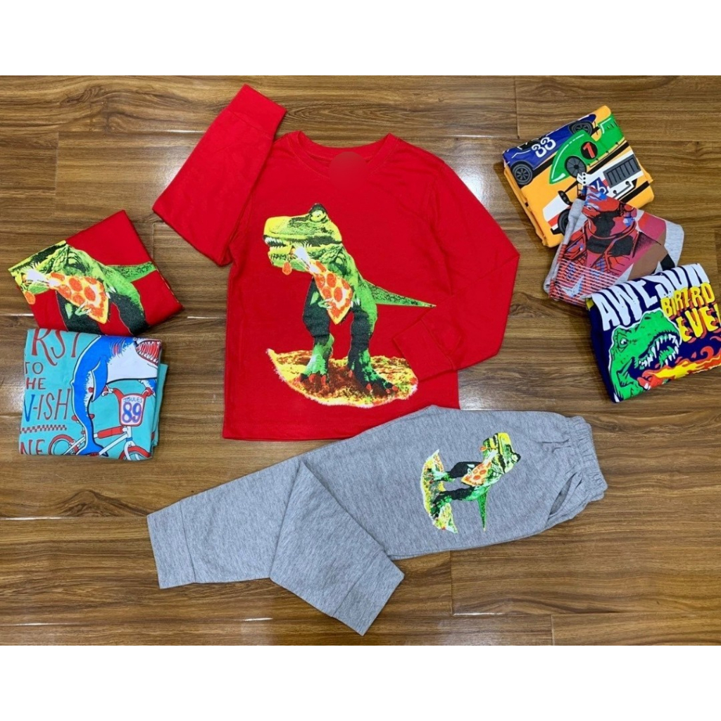 Bộ dài tay cotton Pla đại cho bé trai - HAANH VNXK