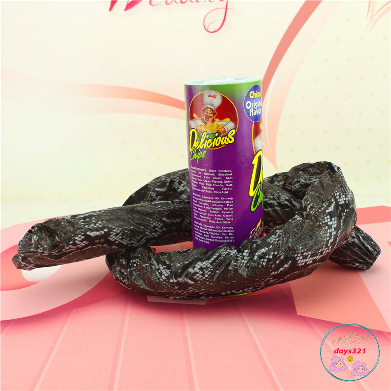Đồ chơi khăm vui nhộn hình hộp bánh khoai tây có rắn bên trong dài 1m3 hộp snack0