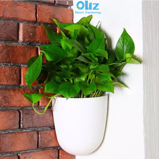 Chậu cây treo tường Oliz K07. Chậu trồng cây tự tưới nước, dùng cho tường vuông góc 90 độ