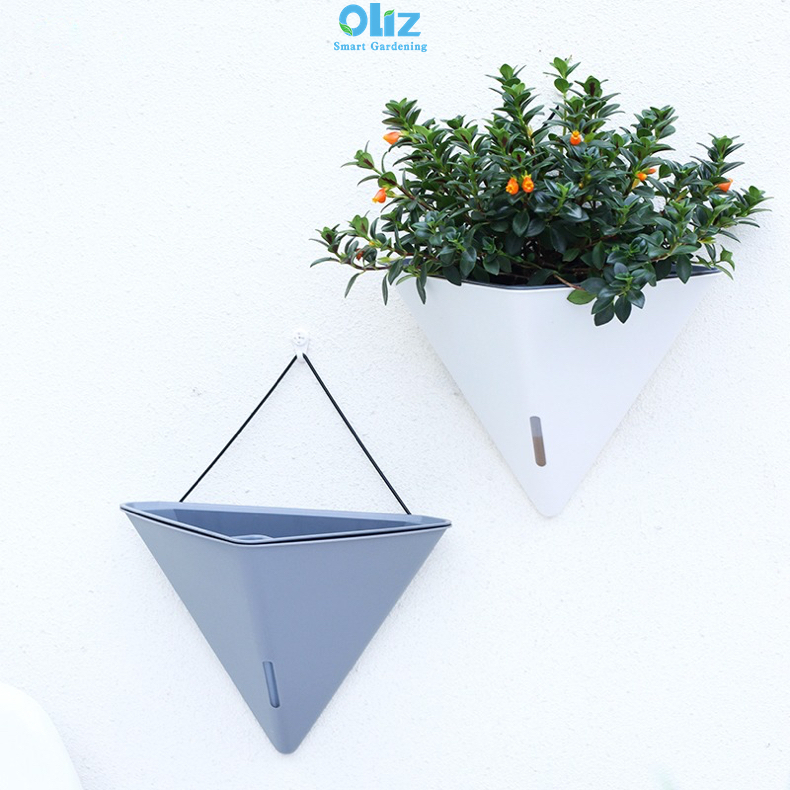 Chậu cây treo tường, chậu trồng cây tự tưới Oliz K104