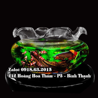 Hồ cá mini thủy tinh để bàn, chậu thủy tinh trồng cây thủy sinh mẫu B16