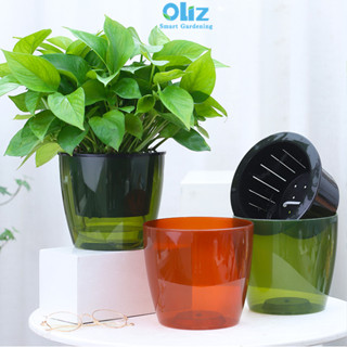 Chậu cây để bàn tự tưới Oliz H006-G/BR