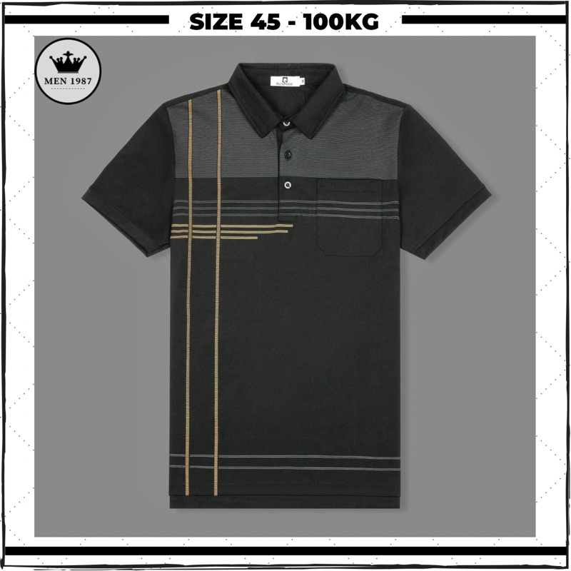 Áo polo nam trung niên cao cấp vải cotton poly kháng khuẩn, áo tặng bố phong cách tối giản đẹp form big size
