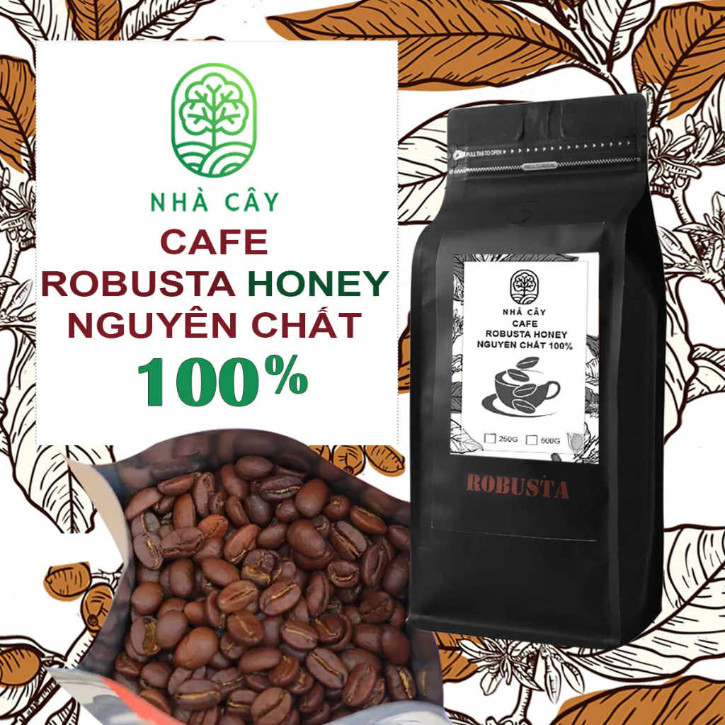 Cà phê nguyên chất ROBUSTA HONEY