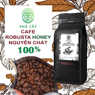 Cà phê nguyên chất robusta honey