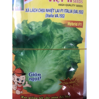 Hạt giống Xà lách chịu nhiệt - Giòn ngọt F1