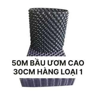 50m bầu ươm cao 30cm 0.7
