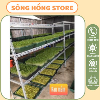 (Hàng Sẵn-hàng đẹp)Khay trồng rau mầm, khay ươm rau mầm sạch, làm bằng nhựa PP an toàn KT 50x40x10 ( cm)