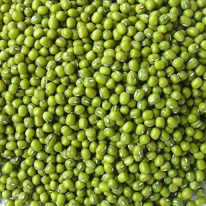 ĐỖ XANH NGUYÊN HẠT hàng loại 1- làm giá đỗ