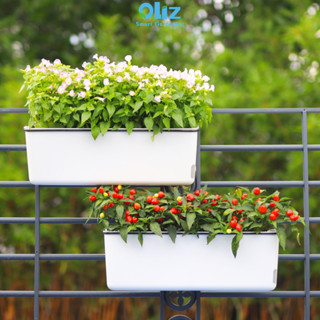 Chậu cây ban công A207 Hanger. Chậu trồng cây treo tường tự tưới CÓ BAO GỒM GIÁ TREO